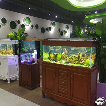 成都實木魚缸定做，龜與熊貓定做魚缸
