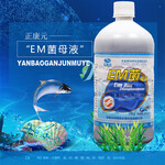 EM菌在水产养殖上的应用EM菌原液供应/求购水产微生物制剂厂家