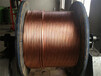 厂家直销专业生产欢迎选购铜包钢丝