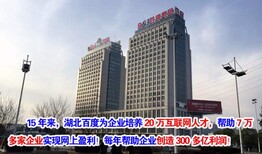 百度营销大学SEO培训图片0