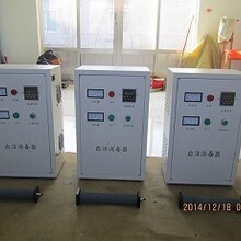 厦门-莆田-三明臭氧水箱自洁消毒器WTS-2A