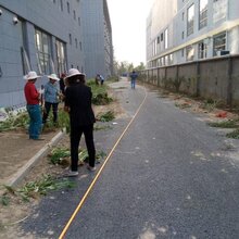 供应北京绿化公司图片