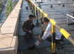 杨浦区包头路隔油池清理、疏通污水管道、化粪池清理