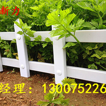PVC園林護欄綠化花壇草坪社區(qū)護欄定做塑鋼護欄河南新力