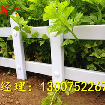 PVC草坪護(hù)欄公園綠化柵欄社區(qū)園林護(hù)欄塑鋼護(hù)欄美觀耐用經(jīng)濟(jì)實(shí)惠河南新力供應(yīng)