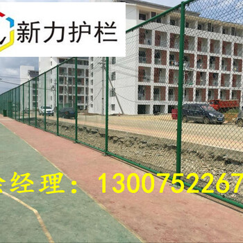 濮陽臺(tái)前學(xué)校操場(chǎng)防護(hù)網(wǎng)圍欄體育場(chǎng)圍欄球場(chǎng)圍網(wǎng)新力護(hù)欄廠