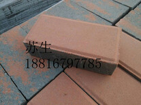 珠海广场砖总值图片2