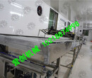 鲜河粉生产线-广东鲜河粉生产线图片