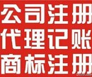 深圳公司注册代理记账企业提供代理记账、香港公司注册、商标注册、外资公司注册图片