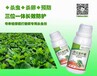  Which pesticide is good for vegetable greenhouses? The first choice is Bacillus thuringiensis high effective insecticide