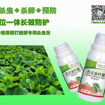 蔬菜大棚農(nóng)藥殺蟲劑哪種好？蘇云金桿菌殺蟲劑強力殺蟲劑