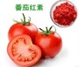 食品级抗氧化剂番茄红素生产厂家
