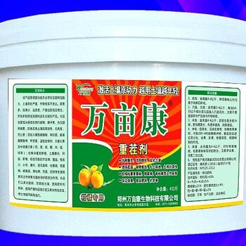 柑橘黃化爛根根腐你怎么辦