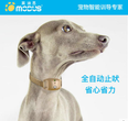 宠物训导用品_宠物犬训练用品_宠物训练用品批发-莫迪思宠物智能用品