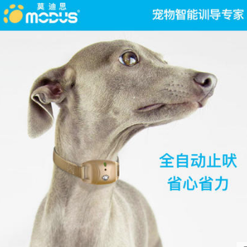 宠物训导用品_宠物犬训练用品_宠物训练用品批发-莫迪思宠物智能用品