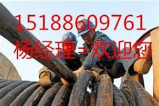辉县电线回收新乡(辉县)废旧电缆回收行；业资讯图片3