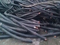 威海电缆回收(废旧)电缆回收每天市场报价图片5