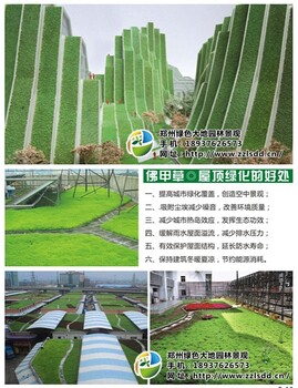 郑州中原区屋顶花园景观设计工程，设计精美