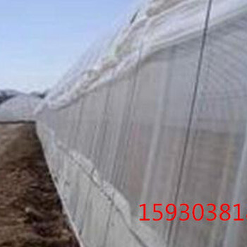 蝗虫养殖网#沧州蝗虫养殖网#蝗虫养殖网生产厂家