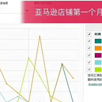 跨境电商亚马逊店群招商加盟，运营指导，可贴牌无限开