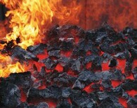 天津煤炭进口报关海关政策图片4