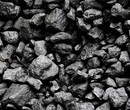 天津煤炭进口报关海关政策