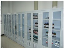 實驗室藥品柜材質PP防酸堿十年不變川場牌天津各區超圖片3