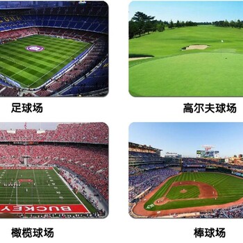 濱州人造草坪，濱州人造草坪價格，濱州人工草坪，孟鑫人造草坪