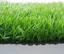 人造绿色仿真塑料草坪地毯垫子幼儿园阳台装饰植物人工假草皮户外图片