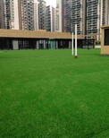 仿真草坪人造草坪人工草皮塑料假草坪幼儿园学校装饰加密绿色地毯图片4