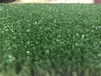 人造仿真绿化草坪地毯幼儿园草坪婚礼展览运动草坪人工塑料假草皮