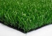 仿真草坪人造草坪人工草皮价格塑料假草坪生产厂家幼儿园学校楼顶遮阳地毯地垫