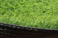 人造草坪仿真草坪塑料假绿植幼儿园人工草皮室内户外楼顶绿色地毯