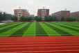 厂家直销低价走量足球场单丝网丝多色耐磨人造草坪