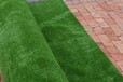 加密仿真草坪塑料人造假草皮人工室内绿植装饰阳台户外足球场地毯普通翠绿色