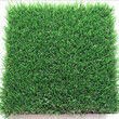 仿真草坪塑料人造假草坪室内装饰幼儿园人工草皮户外绿色地毯图片