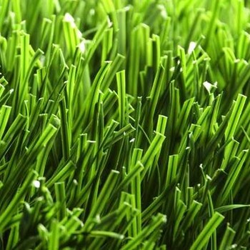假草坪楼顶塑料草皮人造草坪室内户外幼儿园绿色地毯仿真草坪装饰