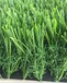 塑料假草皮墙绿植装饰绿色地毯仿真草坪人造草坪阳台户外植物
