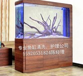 天河鱼缸上门清洗公司广州专业鱼池护理费用_水族用品价格