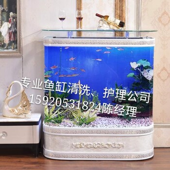 廣州魚池上門清洗服務(wù)廣州觀賞魚日常養(yǎng)護