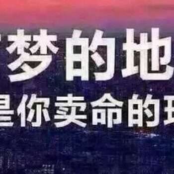 番禺SEO优化的文章的