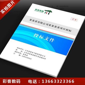 保定哪有标书编辑、标书代写的-彩客广告