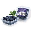 JCFH-2金超蓝莓盒式包装机水果蔬菜气调保鲜包装机图片