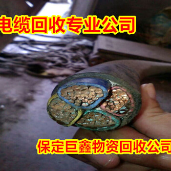 青白江电线电缆回收-风云人物-青白江废旧电缆回收