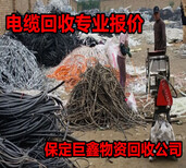 衡东电线电缆回收-大树将军-衡东废旧电缆回收图片0