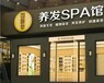 创业开一家养发馆加盟店需要多少钱