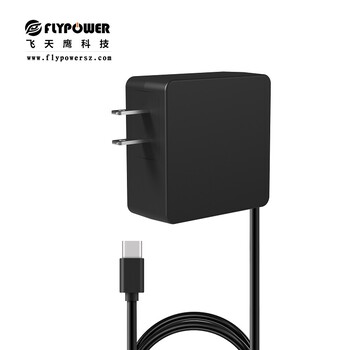 FLYPOWERTYPE-C电源带线美规黑色