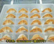 赤峰全自动仿手工饺子机小型厂家视频图片2