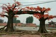 江西生态园大门制作-四川假树大门图片-贵州仿古树大门