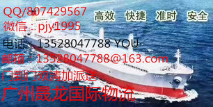 广州地区哪家海运物流公司服务好价格低图片4